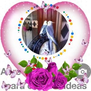 Meet your Posher, Alexandra